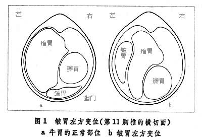 奶牛皱胃变位的病因及其诊治