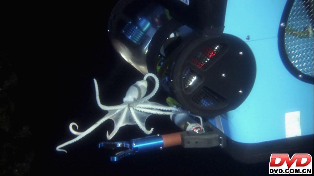 深海异形+-+搜狗百科