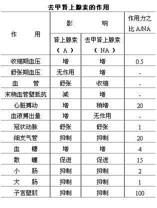 去甲肾上腺素