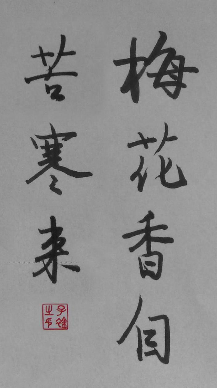 梅花香自苦寒来