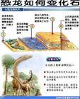 从恐龙到人类共经历过几个物种