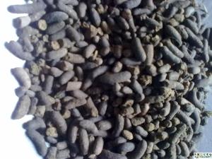 五灵脂+-+搜搜百科