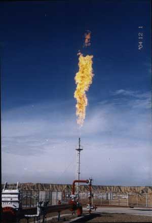 天然气天然气是境内新型能源和化工原料资源