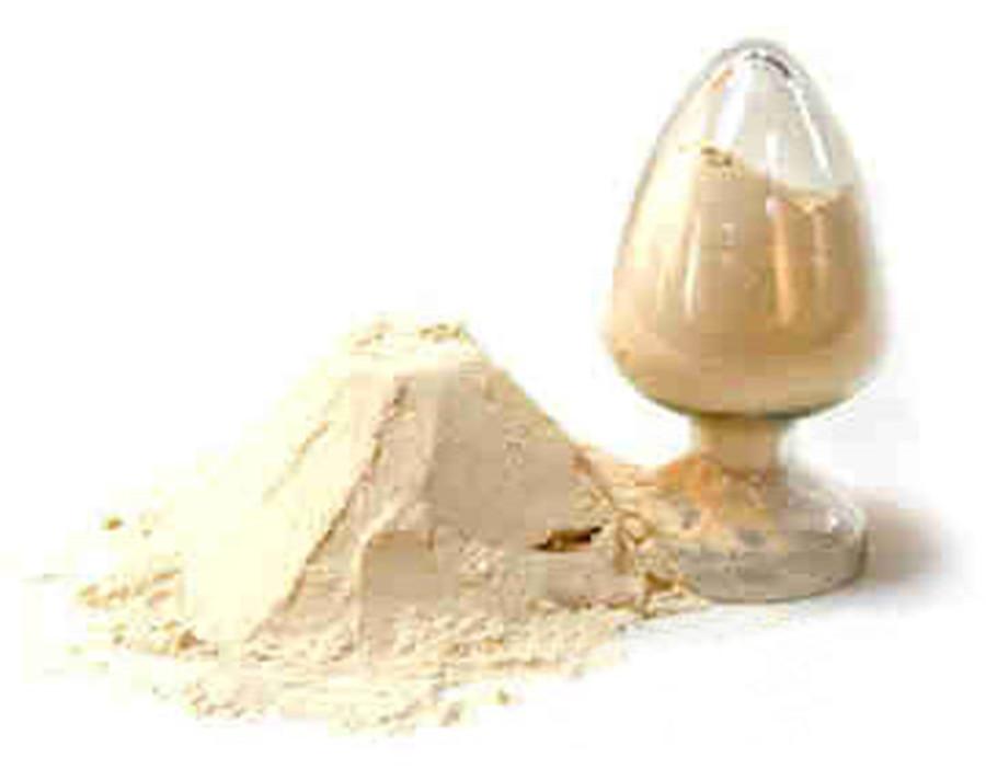 蛋白质粉+-+搜狗百科