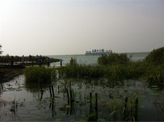 吴江七都太湖湿地公园