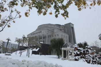 郑州大学西亚斯国际学院