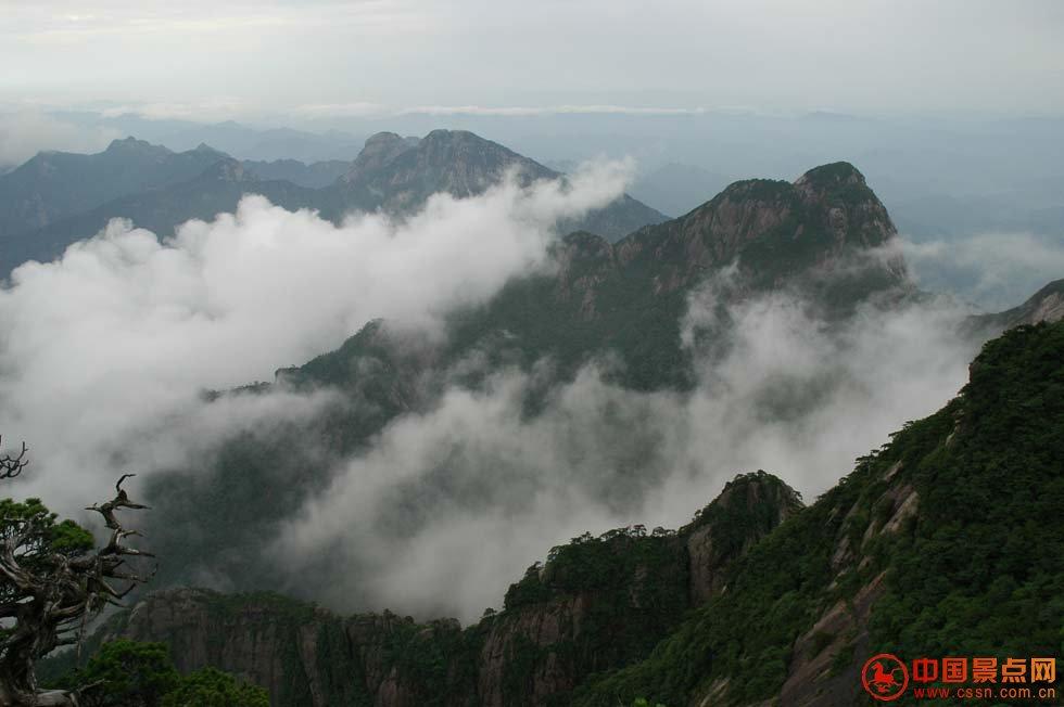 牯牛降风景区