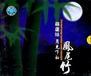 傣族舞月光下的凤尾竹