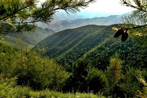 陇南地处秦巴山区,古属梁州,是甘肃境内唯一的长江流域地区,气候属