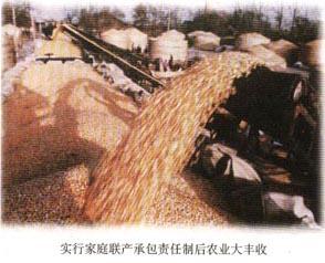 家庭联产承包责任制