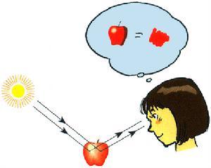 色彩学+-+搜狗百科