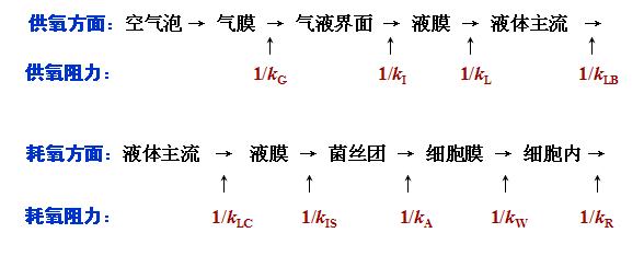 双膜理论