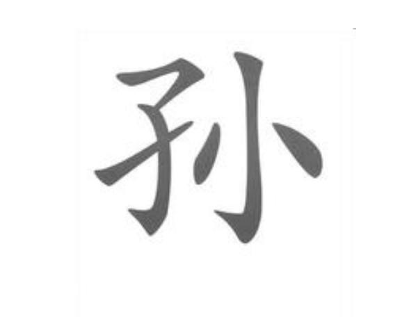 孙(汉字)