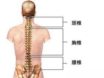 等此主要取决于颈椎不稳的程度,椎管矢状径大小的差异受累椎节的高低