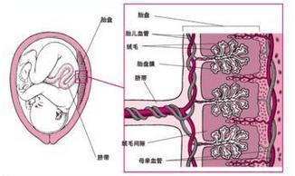 <em>妊娠</em>妇女癫痫发作持续昏迷._医院_<em>胖人</em>服饰网