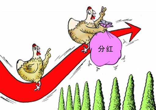 分红