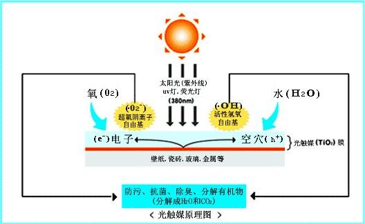 光触媒原理