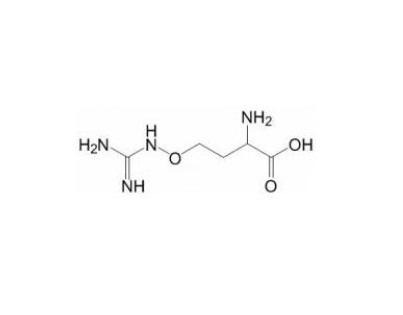 精氨酸是由瓜氨酸透过胞质酵素精氨基琥珀酸合成酶(ass)及精氨基