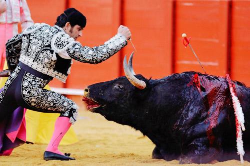 西班牙斗牛过程其实很简单,就是先把公牛惹怒,然后,两名身骑高头