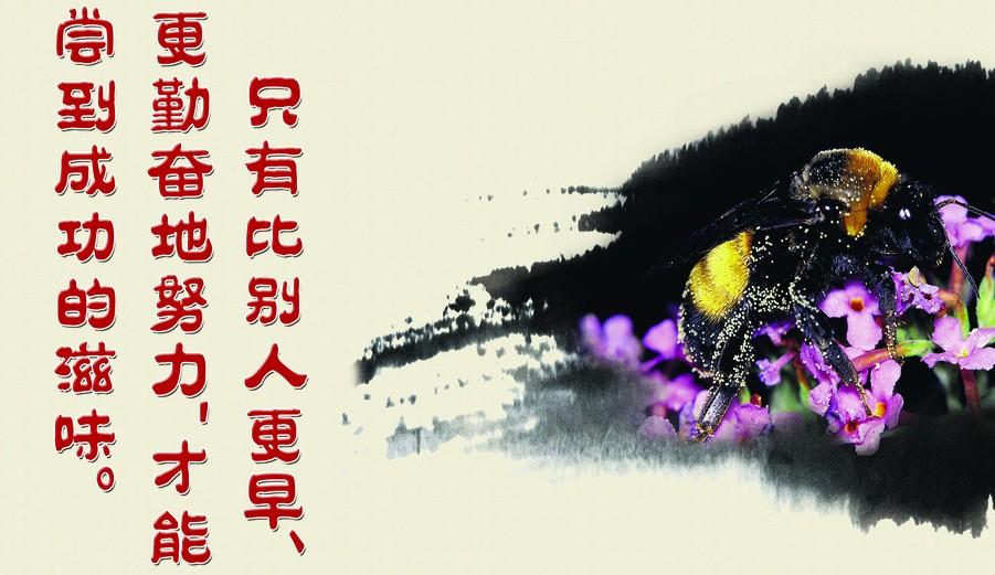 荒于嬉,行成于思而毁于随 --韩愈   ★天才就是无止境刻苦勤奋的能力