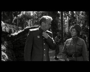 野蜂蜜(1966年上映的苏联影片)