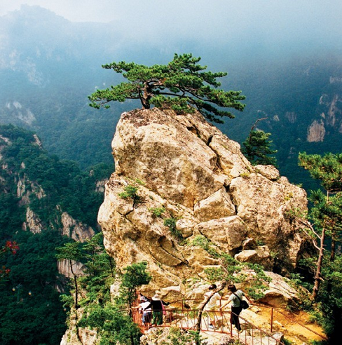 鸡公山国家级自然保护区