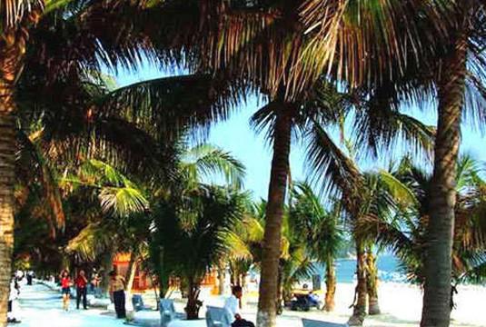 下川岛 搜狗百科