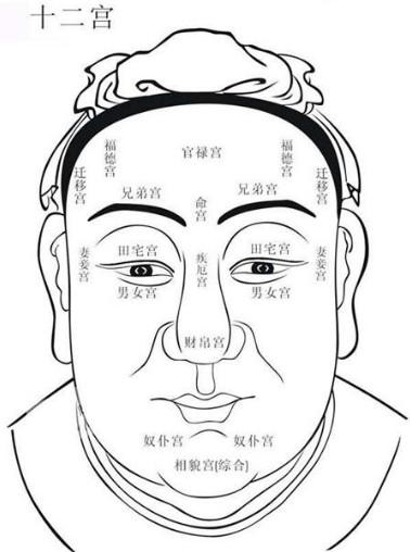 简笔画 手绘 线稿 378
