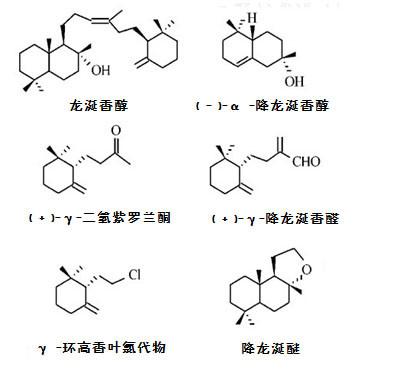 龙涎香