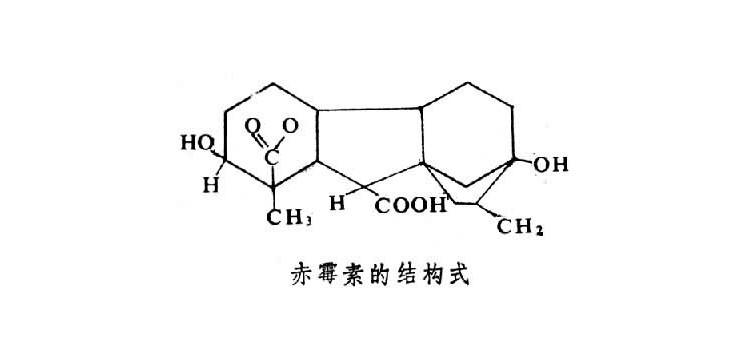 赤霉素的结构式