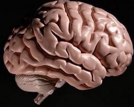 颅后窝室管膜瘤