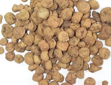 延胡索+-+搜狗百科