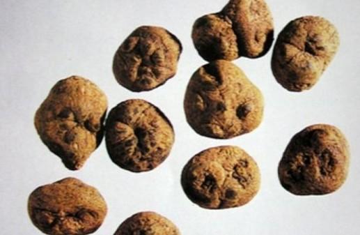 延胡索+-+搜狗百科