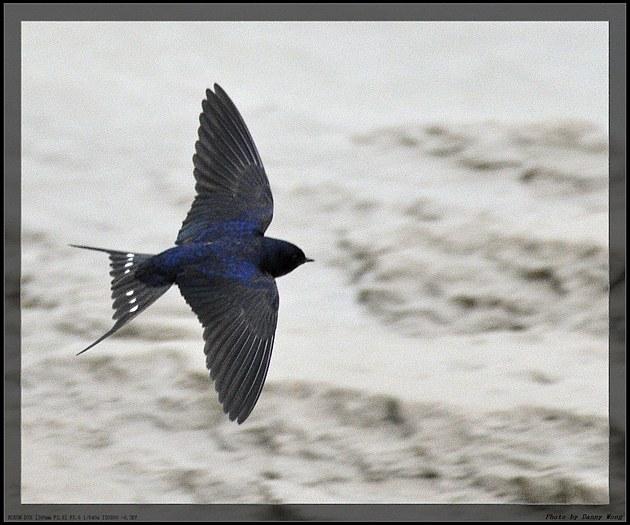 雨燕直播足球免费平台汇聚英超西甲精彩对决一键直达观赛入口