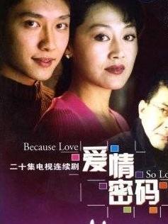 《爱情密码》,中国内地电视剧,由王永执导,王姬,冯威主演,于2002年