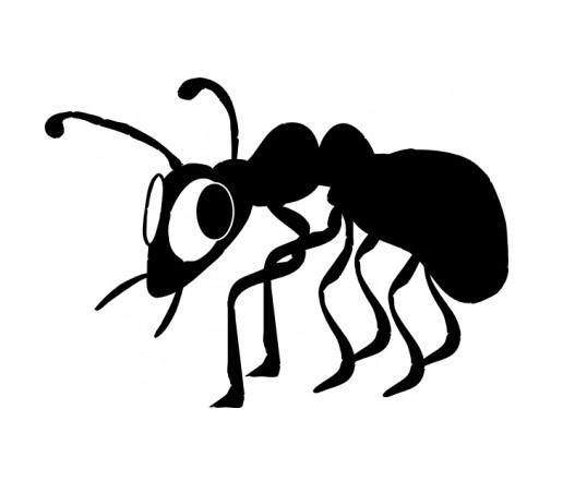 ant是蚂蚁的英文名称.