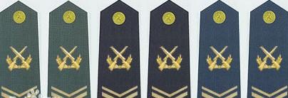 陆海空军上士军衔肩章(2009—)