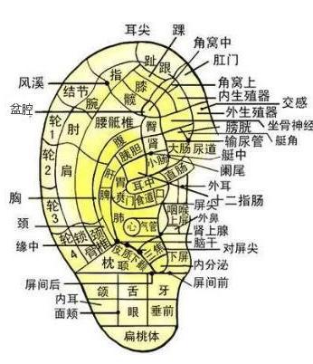 耳根毒病