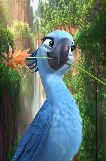 里约大冒险2图片