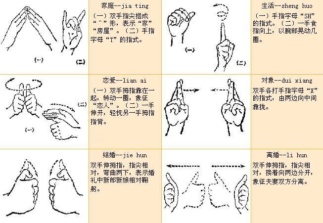 全部版本 历史版本  手语是"人们在聋人环境中使用手的指式,动作,位置