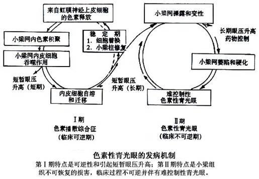 色素的原理_激光治疗色素病变原理