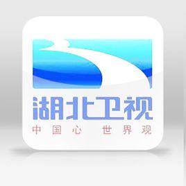 湖北电视台