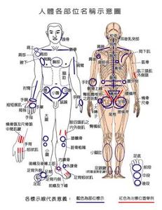 原始点疗法