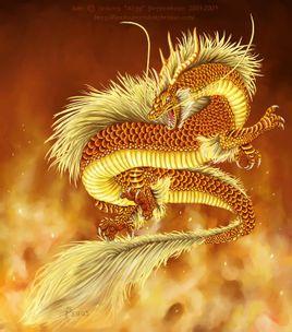 龙子