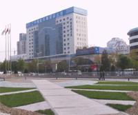 中国医药集团有限公司