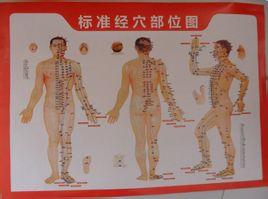 艾灸穴位治疗法