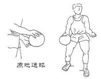 幼儿篮球不学双手拍球直接学单手拍球行吗