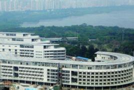 2016年香港大学深圳医院注册护士招聘公告