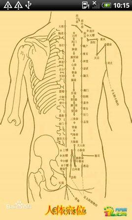 人体穴位图是指通过一张图,画出人身上的每一个穴位的准确位置信息图.