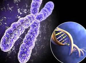 夫妻染色体异常怎么办 - 夫妻染色体异常怎么办